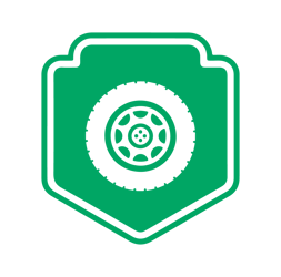 ENT-standard-of-care-icons-visual-inspection