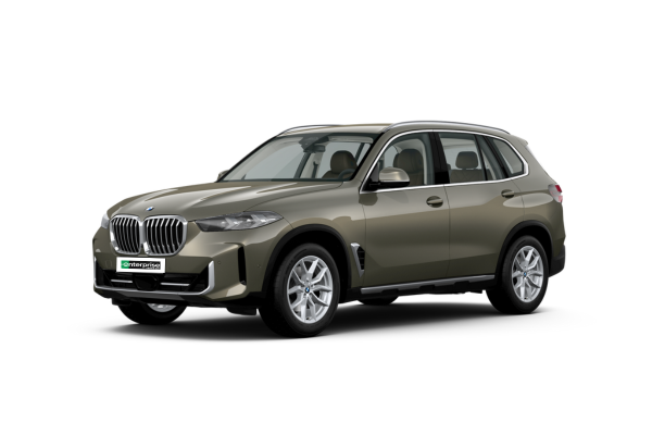 Taupe BMW X5 xDrive von vorne: luxuriöser SUV mit starkem Motor und moderner Technik.