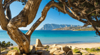 gi-1192867725-italy_feature